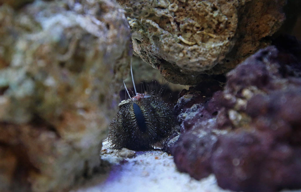 Educational Classroom Project Aquarium - St.Gregorys RC Primary - Chorley