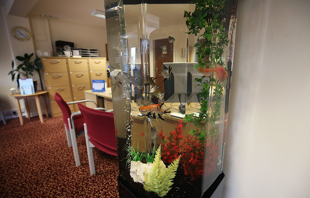 Why are column fish tanks ideal for office environments? - Aqualease