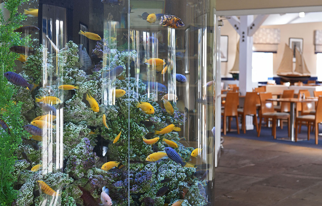 Custom Built Aquarium | Banny's Fish & Chip Restaurant