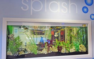 Custom fish tank installed in a business