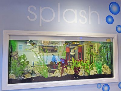 Custom fish tank installed in a business