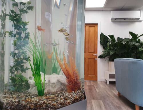 6ft Base Aquarium – Wilpshire Dental Clinic