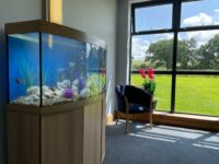 vision cabinet aquarium