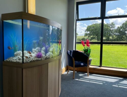 New Installation: Vision Cabinet Aquarium, Charnock Crematorium