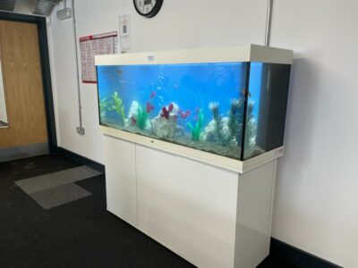 Cabinet Aquarium in white