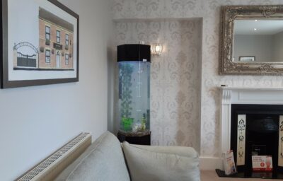 6ft Base Aquarium in a lounge area