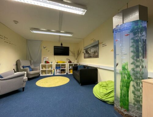 New Install: 6ft Column Aquarium at Freshfield Primary School