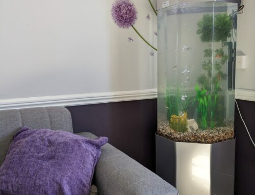 New Install: Silver Column Aquarium with Tropical Fish – The Lodge
