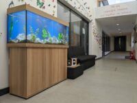Rio 240 Cabinet Aquarium in light wood finish set in a school corridor